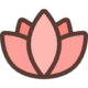 meditationyogatoyama meditationyogatoyama